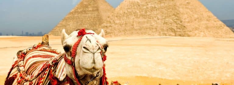 oferta egipt 2019 12 04 14 19 54 1