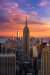 NY