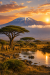 Tanzania