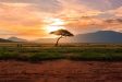 KENYA