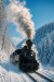 locomotiva revelion maramures 2027